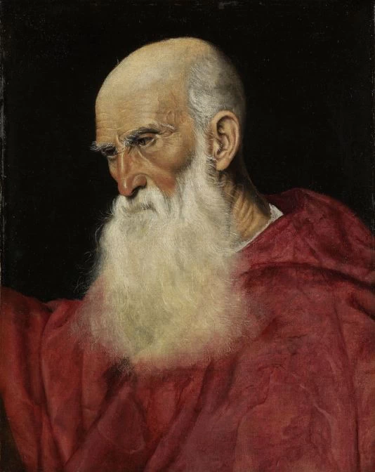 Ritratto di cardinale - Jacopo da Ponte, detto Bassano
